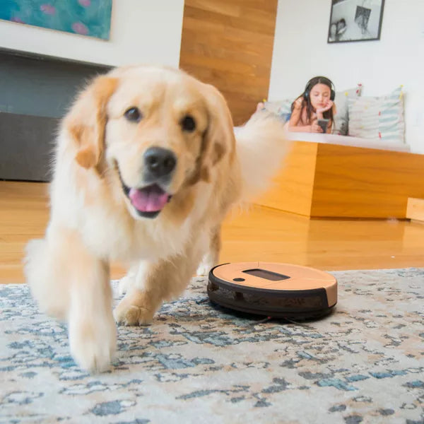 bObsweep PetHair Vision Plus Wi-Fi Robot Vacuum Cleaner and Mop - Beech: HEPA Filter, Smart Mapping, Pet Hair Removal